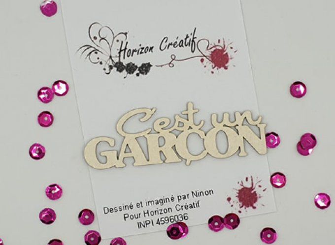 Chipboard : C'est un garçon, 100% horizon créatif, à l'unité