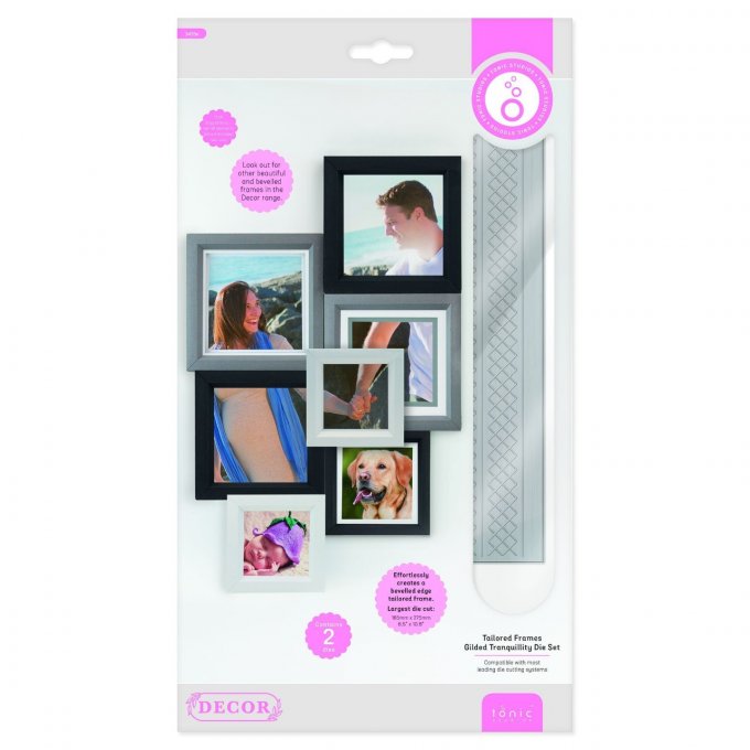 2 dies - Tonic Studios - cadre - le plus grand die mesure 167x277mm