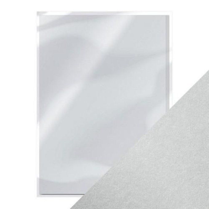 5 feuilles, Tonic Studio, format A4 - 250g - luna silver