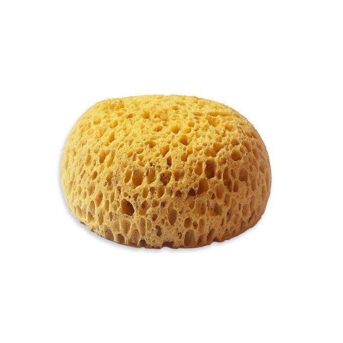 Stamperia - Eponge pour peinture