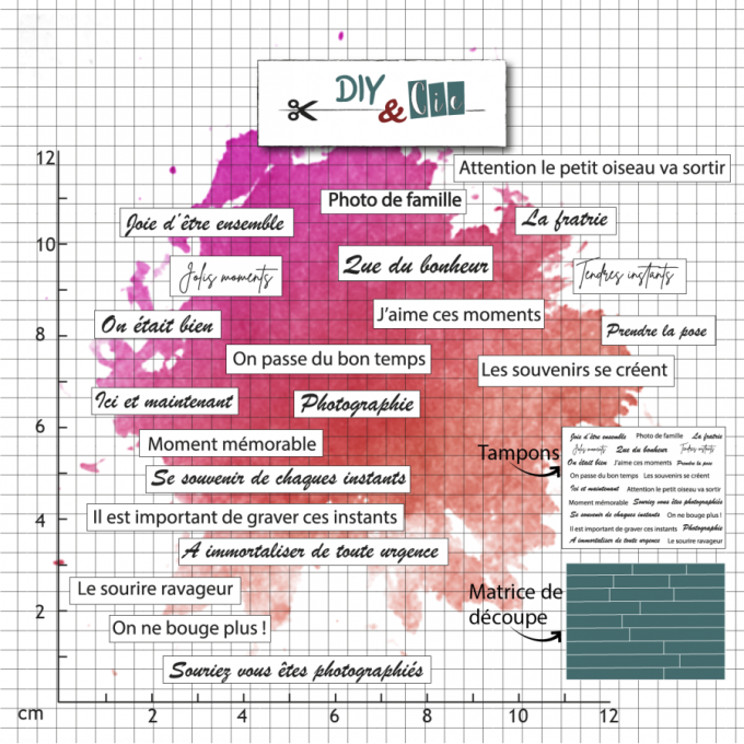 Petits tampons clears, + die - DIY&Cie - Séance photo