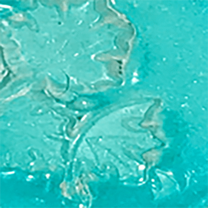 Poudre à embosser, couleur Guten Tag Teal