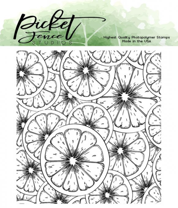 Tampon de fond - Fruitylicious - Picket Fence studios - dimension : 9.2x9.8cm