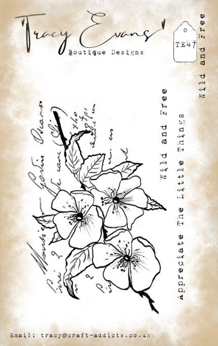 3 Tampons clears, Tracy Evans, Wild and free, format de la planche A7