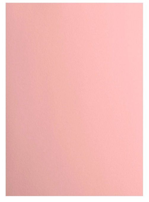 Cardstock Couleur : Rose, 216g, lot de 10 feuilles - Format A4 (lisse)