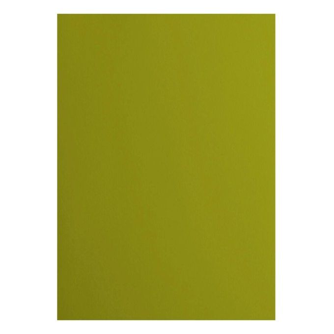 Cardstock Couleur : Fern, 216g, lot de 10 feuilles - Format A4 (lisse)