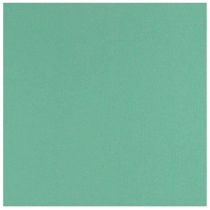 Cardstock Couleur : Mint, 216g, lot de 20 feuilles - 30x30cm (texturé)