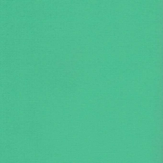 Cardstock Couleur : Caribbean green, 216g, 25 feuilles-30x30cm (texturé)-Scrapberry's