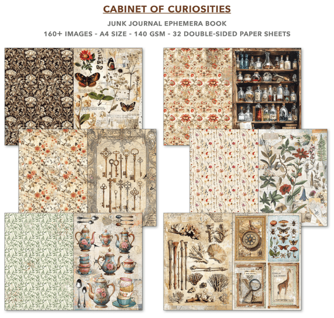 Cabinet of curiosities, format A4 - 32 feuilles de papier recto verso