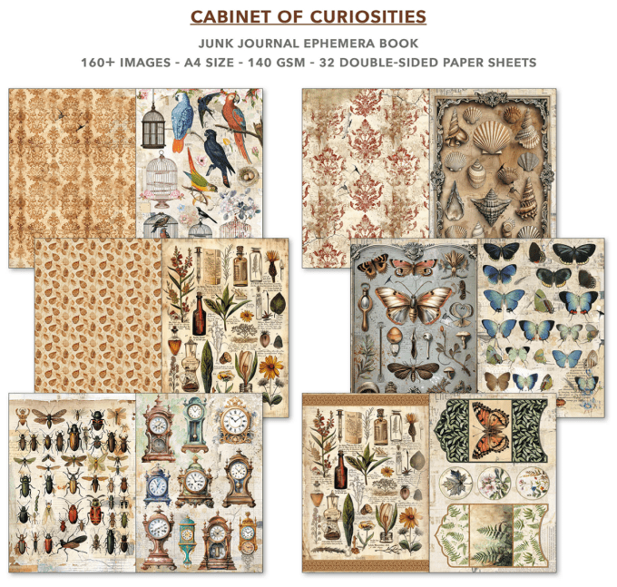 Cabinet of curiosities, format A4 - 32 feuilles de papier recto verso