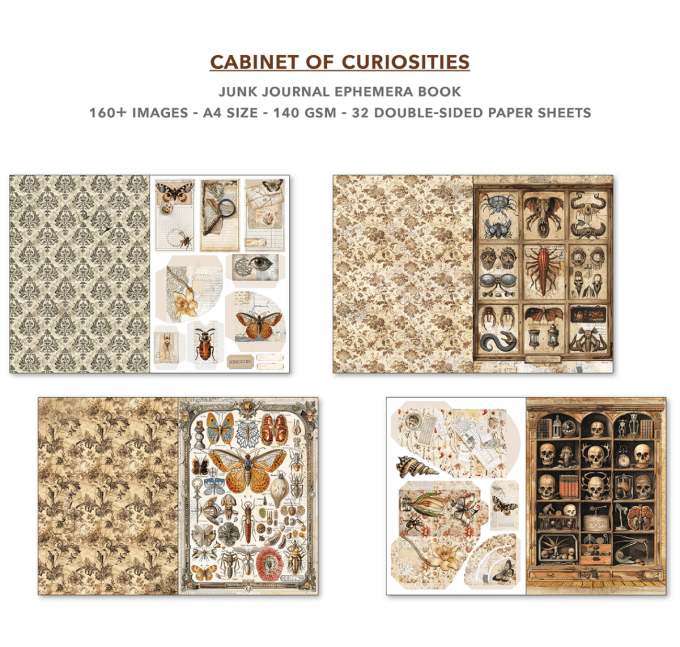 Cabinet of curiosities, format A4 - 32 feuilles de papier recto verso