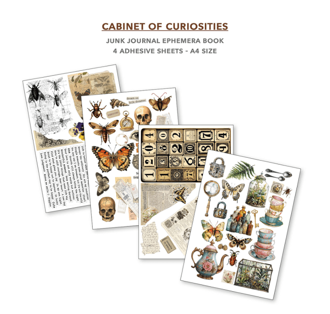 Cabinet of curiosities, format A4 - 32 feuilles de papier recto verso