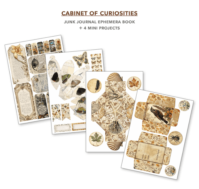 Cabinet of curiosities, format A4 - 32 feuilles de papier recto verso