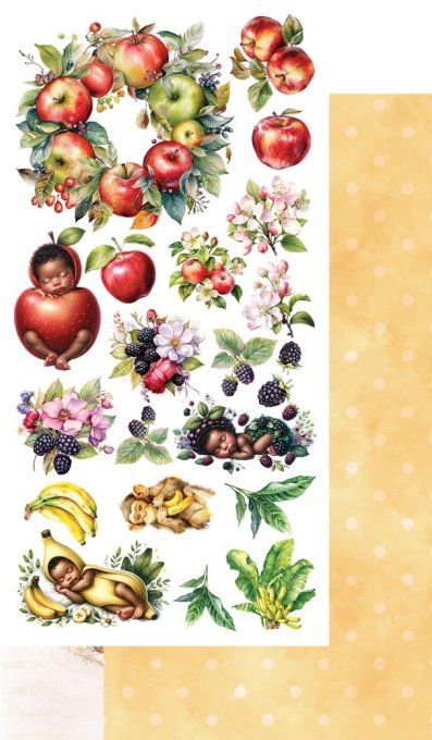 Ensemble de 5 feuilles, 15x30.5cm, collection : My little baby, Fruit - 250g