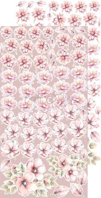 Ensemble de 18 feuilles, 15x30cm, collection : Girl & Curl - Craft O Clock, 250g