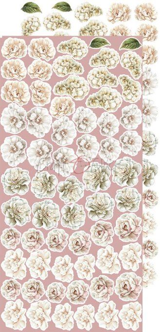 Ensemble de 18 feuilles, 15x30cm, collection : Rose Emotions, Craft O Clock, 250g