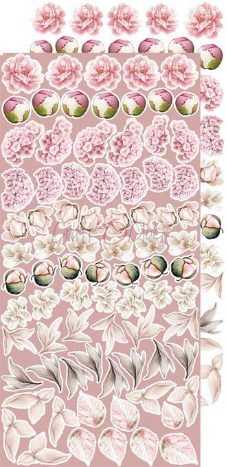 Ensemble de 18 feuilles, 15x30cm, collection : Rose Emotions, Craft O Clock, 250g