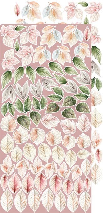 Ensemble de 18 feuilles, 15x30cm, collection : Rose Emotions, Craft O Clock, 250g