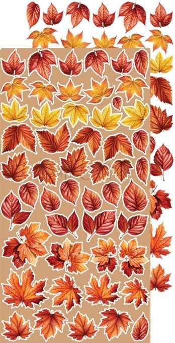 Ensemble de 18 feuilles, 15x30cm, collection : Autumnaria - Craft O Clock, 250g , Flowers & More