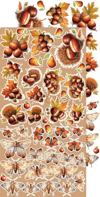 Ensemble de 18 feuilles, 15x30cm, collection : Autumnaria - Craft O Clock, 250g , Flowers & More