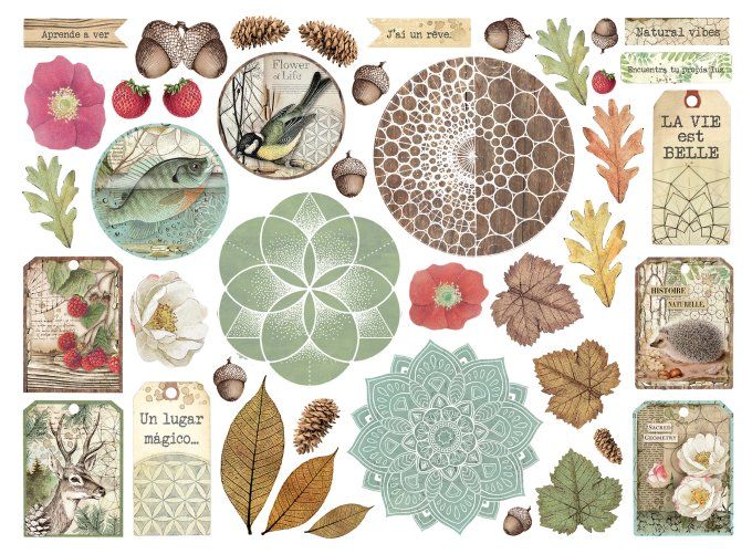 Die-cuts, collection : Forest - Stamperia