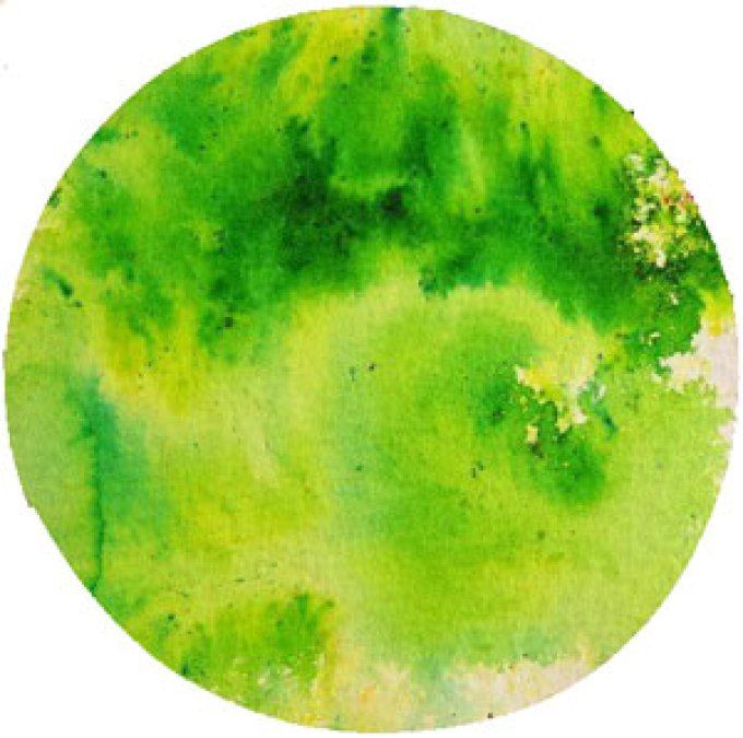 Brusho - Lime green - 15g