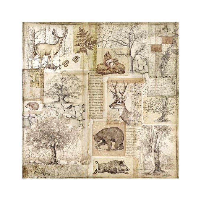 4 tissus polyester, collection : Forest - Stamperia - dimension : 30x30cm