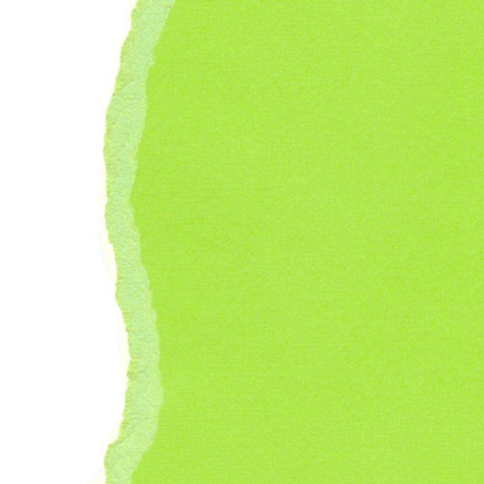 Cardstock Couleur : Light green, 216g, 25 feuilles-30x30cm (texturé)-Scrapberry's(voir description)