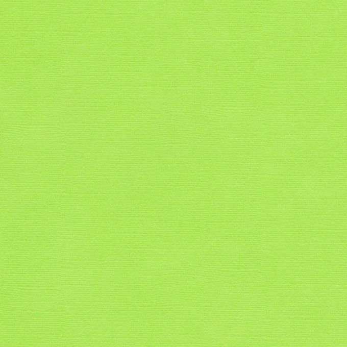 Cardstock Couleur : Light green, 216g, 25 feuilles-30x30cm (texturé)-Scrapberry's(voir description)